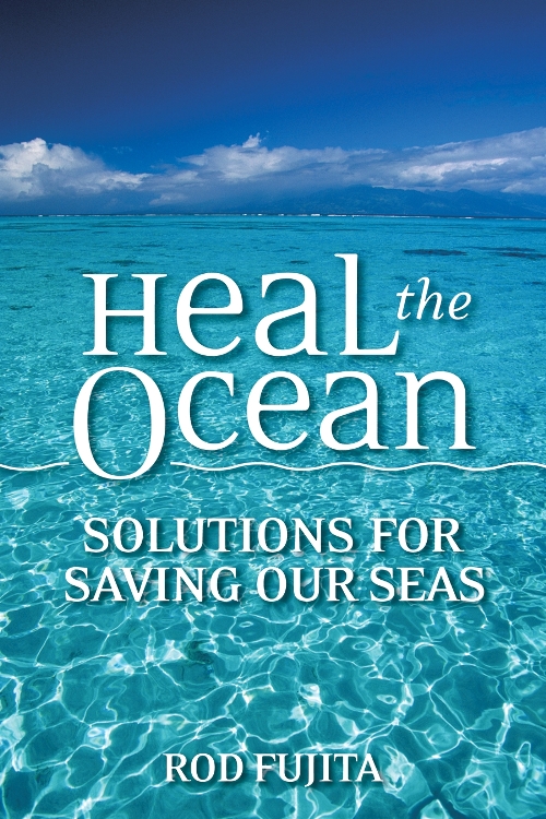 Heal the ocean : solutions for saving our seas
