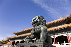 China dragon 