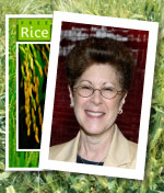 FreeRice_InsideV FreeRice_InsideV