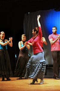 Flamenco dancer