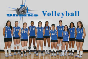 LadySharks-Volleyball (TEAM)