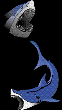 Shark's Mascot