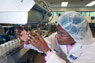 Manufacturing technician at work