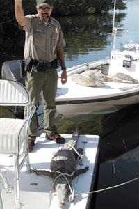 Ranger with endangered animals