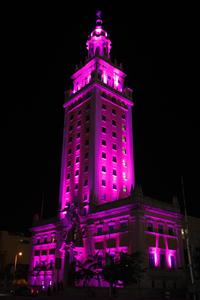 MDC's Freedom Tower lit pink for Breast Cancer Awareness Month