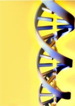 DNA strand