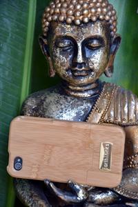 EarthThinks case