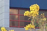 Homestead campus image