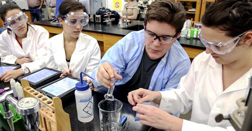 Students conducting experiment