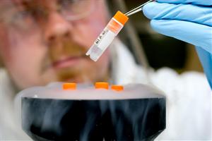 scientist looking at sample