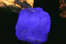 A shimmering blue gem-like stone