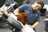 Massage therapy