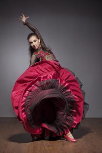 Flamenco dancer