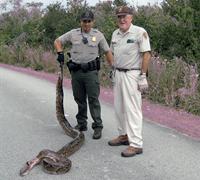 Rangers