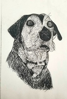 Black and white drawing of a dog