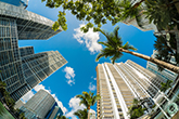 Brickell, Miami buildings and palm trees