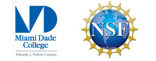 Logos for Miami Dade College and National Science Foundation