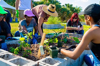 Students planting a garden