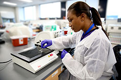 Student working with blood slides