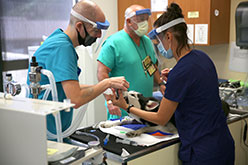 Veterinary students examining a dog