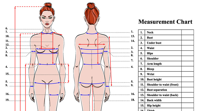 photo of a measuremnt chart created for fashion