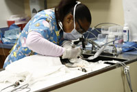 The Critical Thinking Co