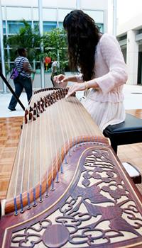 Musicians delighted audiences at the APAH Festival.