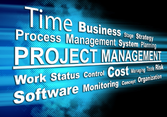 Project management