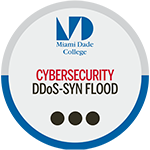 DDoS-SYN FLOOD badge