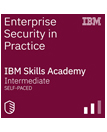 Enterprise Security Practice IBM badge