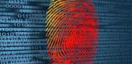Finger print graphic