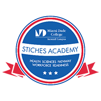 STICHES Academy Badge