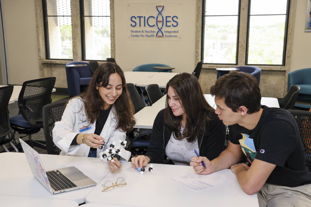 Group of students studying at MDC