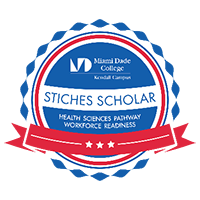 STICHES Scholar Badge