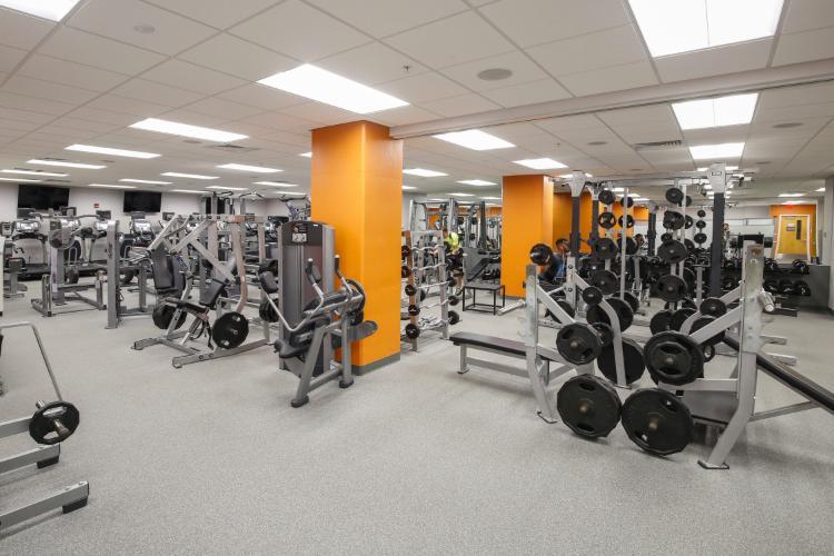 Gym with free weights and weight machines
