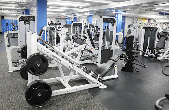 Strength Training Machines at the gym