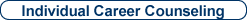 Individual Career Counseling