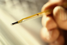 Thermometer