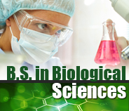 Find out information about the B.S. in Biological Sciences