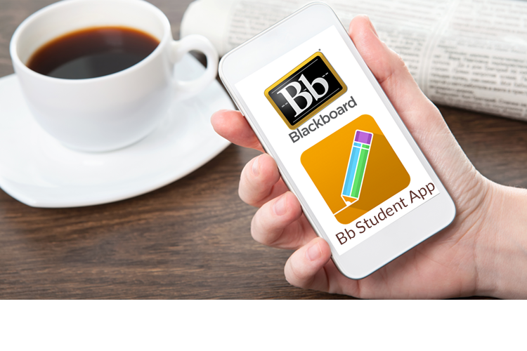 Bb Student App