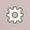 IE Tools Icon