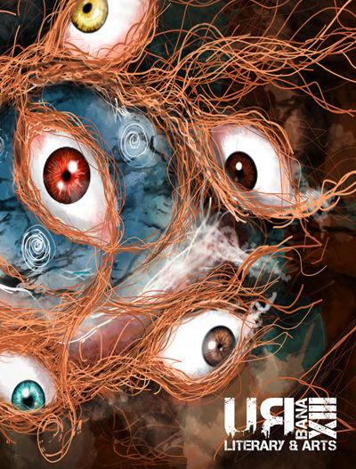 Volume 13 cover