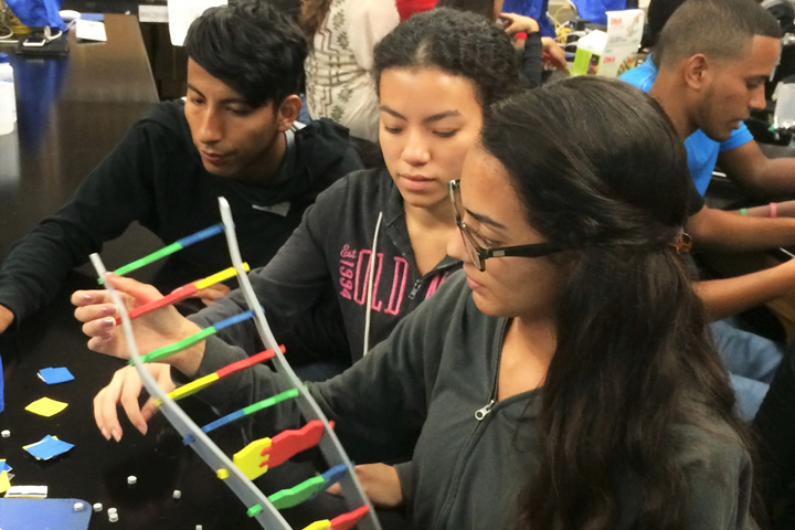 Three students assemble a model of DNA
